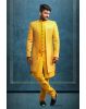 Divine Jacket Sherwani