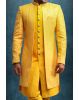 Divine Jacket Sherwani