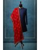 Bright Red And Golden Motif Embellished Grooms Shawl