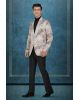 Brown And Off- White Silky Jacquard Superb Blazer