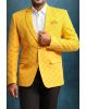 Yellow Embroidered Fabric Blazer