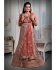 Dark Peach embroidery heavy border lehenga