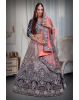 Pink & blue  combination heavy thread work lehenga