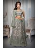 Pastel Green Net Embroidered Lehenga With Same Colour Dupatta And Blouse