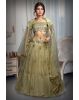 Pastel Green Net Embroidered Lehenga With Same Colour Dupatta And Blouse