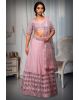 Baby Pink Minimal Lehenga With Heavy Detailed Paper Mirror Work embellished Border In Skirt With Detailed Blouse And Dupatta
