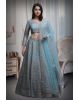 Pastel Blue Net Lehenga With Stone Work Detailing With Crop Top Blouse And Same Color Dupatta