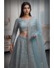 Pastel Blue Net Lehenga With Stone Work Detailing With Crop Top Blouse And Same Color Dupatta