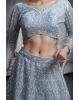 Pastel Blue Net Lehenga With Stone Work Detailing With Crop Top Blouse And Same Color Dupatta