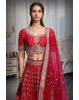 Red Silk Lehenga With Intricate Golden Handwork Details In Skirt And Top Along With Same Color Dupatta