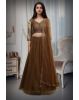 Coffee Brown Minimal Net Lehenga With Handwork Details And Same Color Dupatta