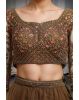 Coffee Brown Minimal Net Lehenga With Handwork Details And Same Color Dupatta