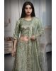 Pastel Green Net Lehenga With Stone Work Detailing With Crop Top Blouse And Same Color Dupatta