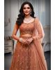 Rust Brown Lehanga with zari embroidery sand sequin work details