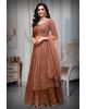 Rust Brown Lehanga with zari embroidery sand sequin work details