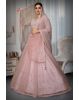 Blush Pink Net Lehenga with Zari and Crystal Embellishment