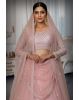 Blush Pink Net Lehenga with Zari and Crystal Embellishment