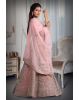 Peach  Jarkan stone net lehenga