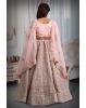 Peach  Jarkan stone net lehenga