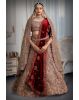 Chiku colour heavy embroidery jarkan work lehenga