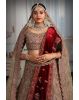 Chiku colour heavy embroidery jarkan work lehenga