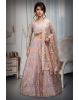 Multicolor Net Lehenga With Exquisite Threadwork And Panel Detailing Throughout The Lehenga