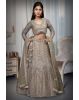 Beige Heavy Worked Lehenga With Rich Embellishment Work In Skirt And Top Along With Minimal Net Dupatta