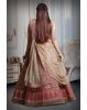 Chikku colour multicolour  heavy embroidery and sequins work lehenga