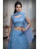 Sky Blue Minimal Net Lehenga With Threadwork Details And Same Colour Dupatta
