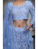 Powder Blue Net Lehenga With Threadwork And Mirror Work Details