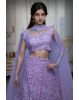 Light Pink Minimal Net Lehenga With Threadwork Details And Same Colour Dupatta