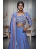 Lavender Tissue Silk Crop Top Lehenga With Elegant Handwork Details