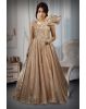 Heizel Beige Tissue Silk Gown With Work Embellishments On Yoke Part That Extends Through Waist