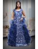 Heavy Threadworked Net Frill Royal Gown With Detailed Sleeve Embellishments