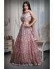 Baby Pink Pre Wedding Lehenga With Intricate Stone Work Details Along With Same Color Dupatta