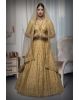 Golden Jarkan Stone Silk Lehenga
