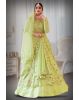 Pastel Green  sequins work Jacket and Lehenga