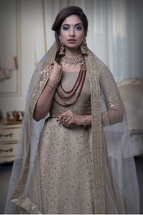 Pastel Brown Sequins Border Lehenga