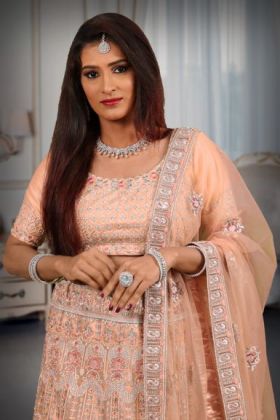 Peach silver thread & jarakan stone work lehenga